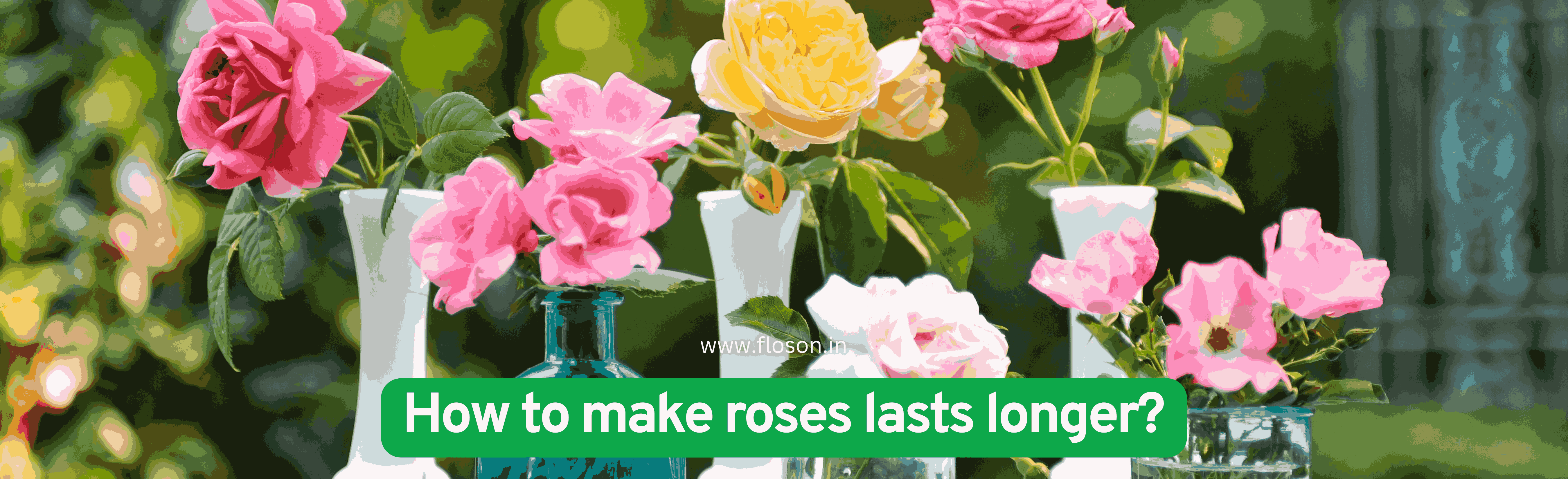 How to make roses lasts longer?