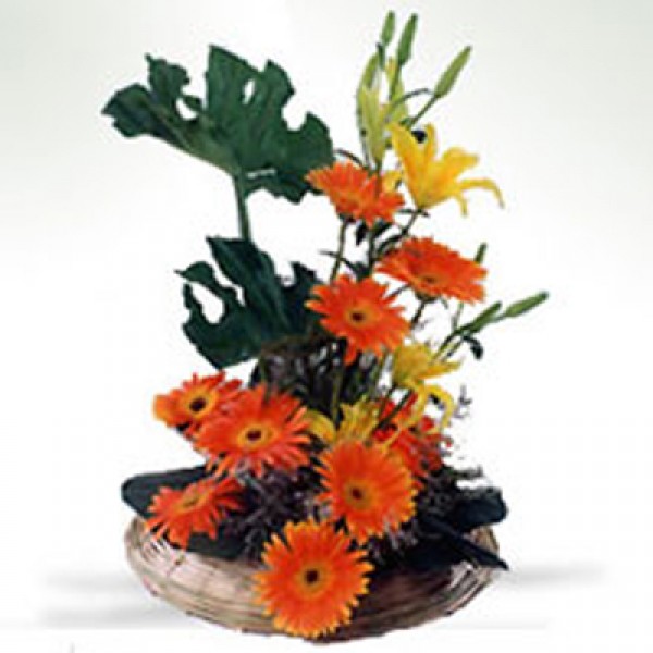Lilies & Gerberas Lilies & Gerberas