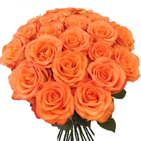 Orange roses bouquet