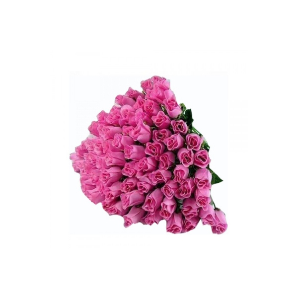 100 Pink Roses 100 Pink Roses