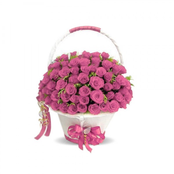 Rose Bloom