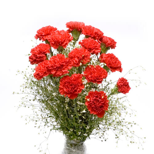 Luxury Red