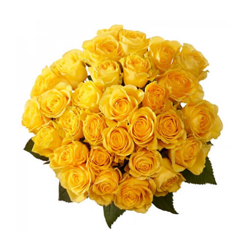 Poetry in Roses