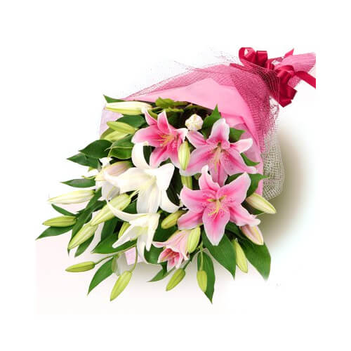 Exotic Lilies