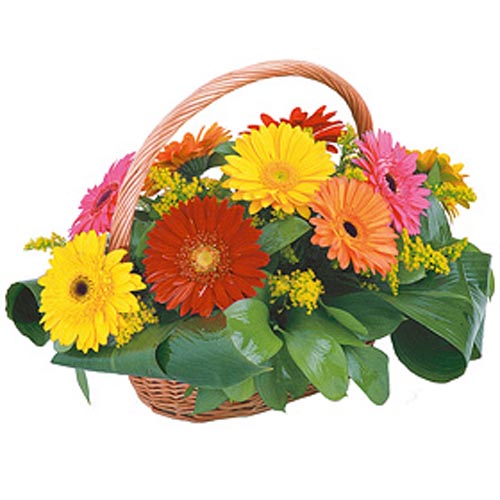 Lovely Basket