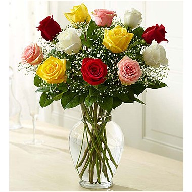 Paradise of Roses