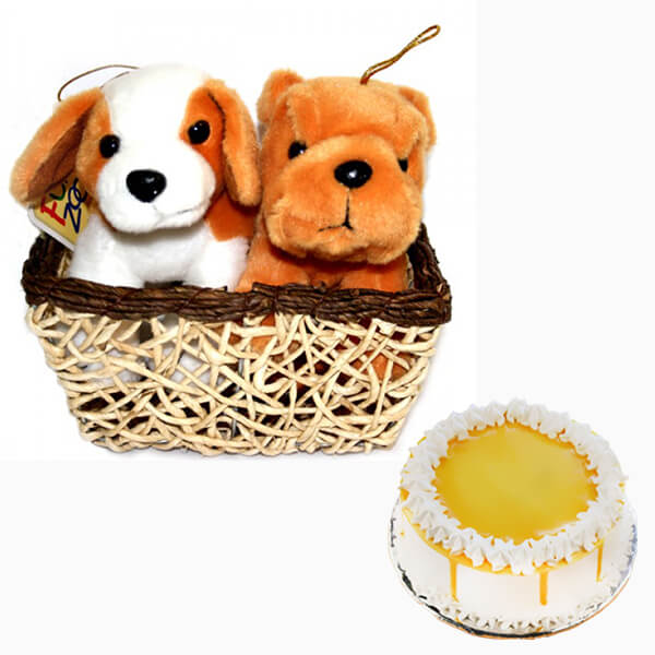 an adorable combo