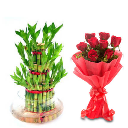 3 layer bamboo with roses 3 layer bamboo with roses