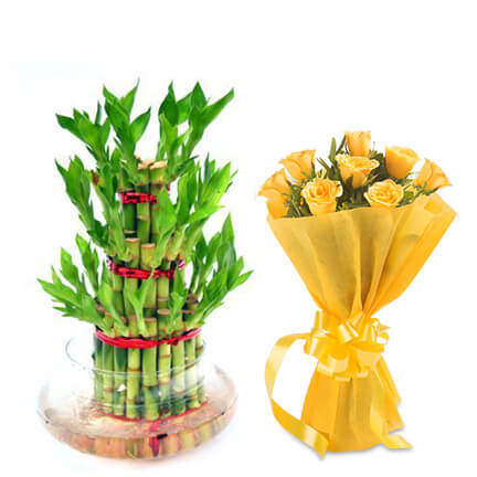 bamboo plant with roses bamboo plant with roses