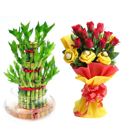 roses n chocolate delight roses n chocolate delight