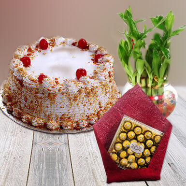 Enlighten Gift Enlighten Gift