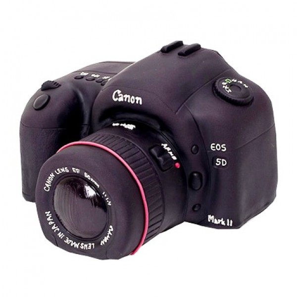 Photo Camera Cake 2.5kg Photo Camera Cake 2.5kg