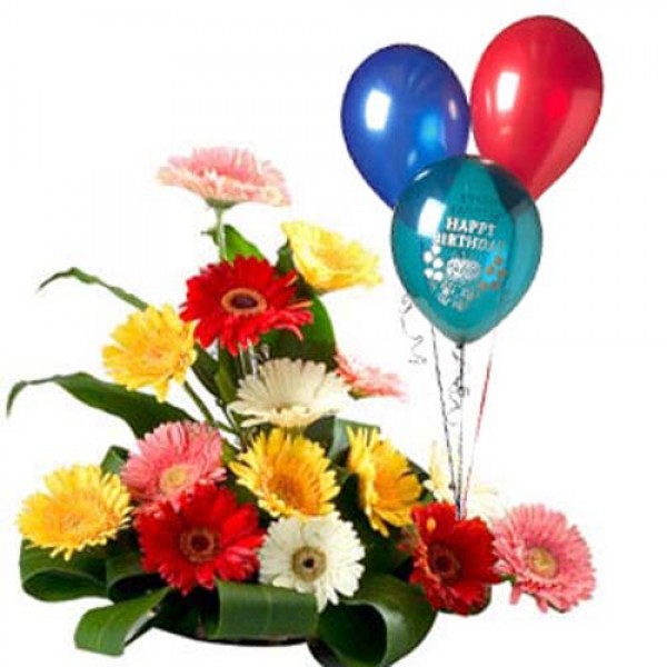 Gerbera and Balloons Gerbera and Balloons