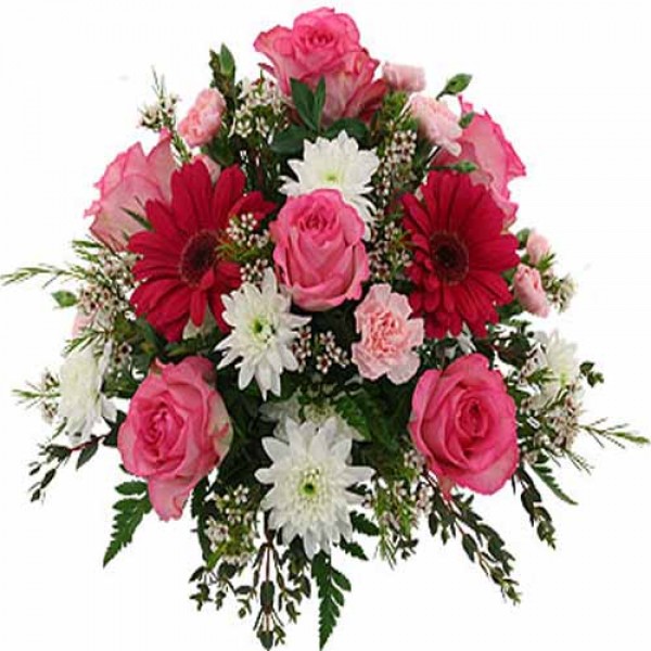 Colourful Flowers