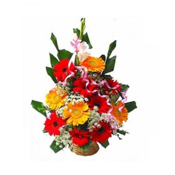 Perfect Gerbera